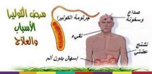 “الأمة القومي”بالنيل الأبيض يحذر من كارثة إنسانية مع بدء العام الدراسي