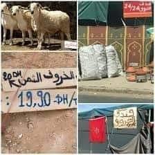 فندق الخراف فى كازا الجميلة