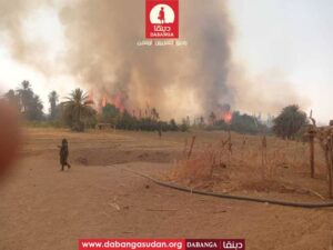 حريق يقضي على أكثر من ألف نخلة وأربعة جنائن مثمرة بمنطقة “عبري كنج” بالولاية الشمالية