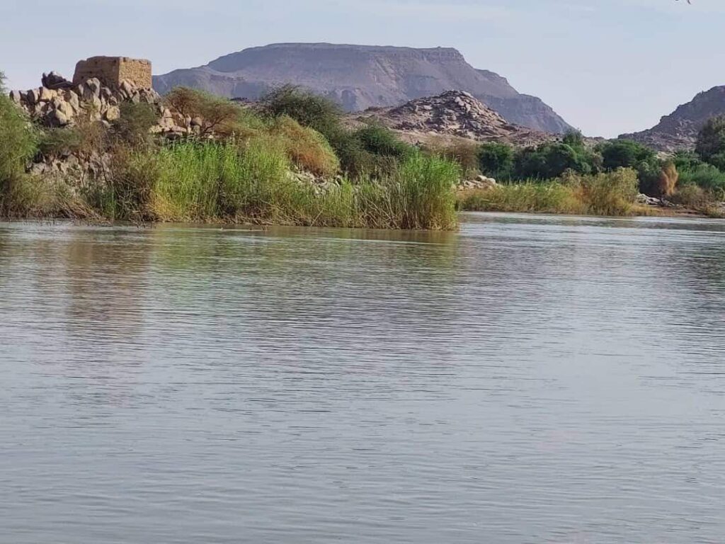 أصداء كلام في وجه الصباح وعلى الهواء الطلق .. التوقيع:ولا يزال صوتك الفرح