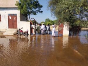 الجزيرة أبا تغرق.. منازل تسقط ورحلة نزوح تتجدد